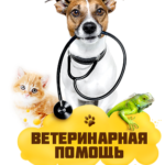 Без рубрики